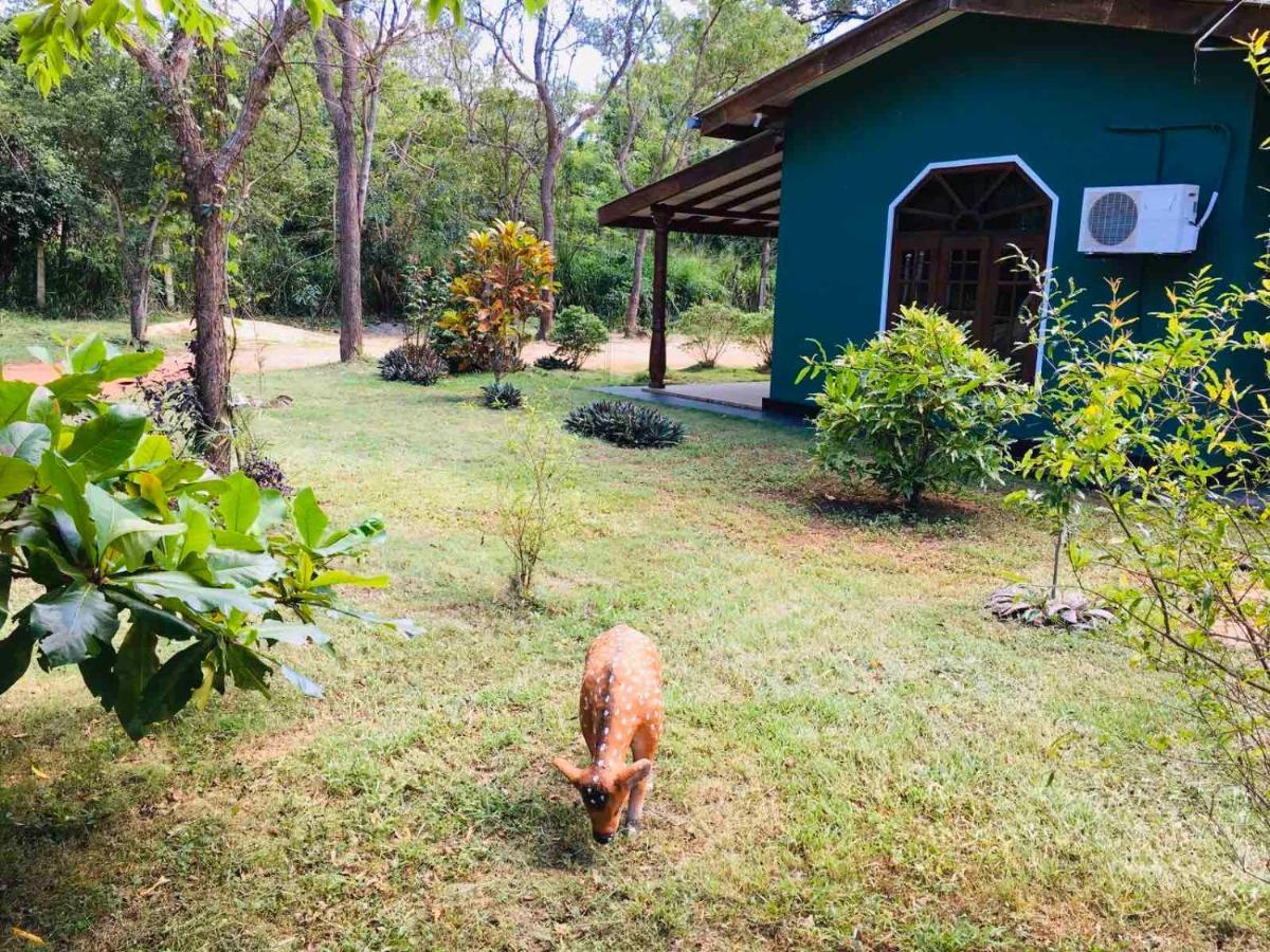 Greenwood Hotel Sigiriya Exterior photo